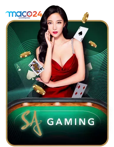 maco24-เกม (2)